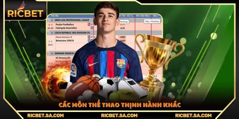 Những lựa chọn thể thao nổi bật khác 