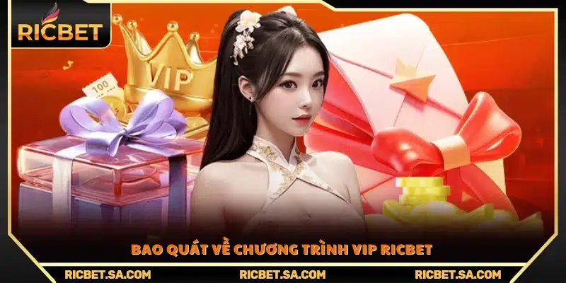 Khái quát chung về chương trình đặc quyền vip Ricbet