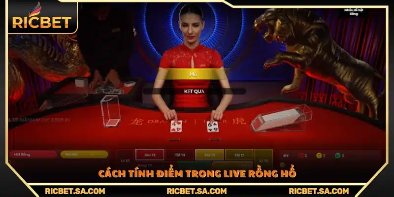 Quy tắc tính điểm chi tiết trong trò chơi live Rồng Hổ